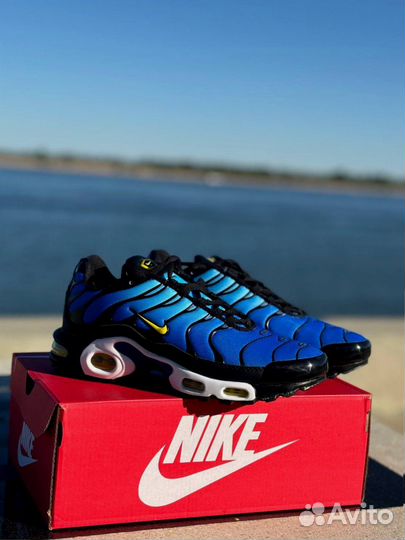 Кроссовки Nike Air max TN blue