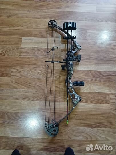 Спортивный лук.Хищник-про