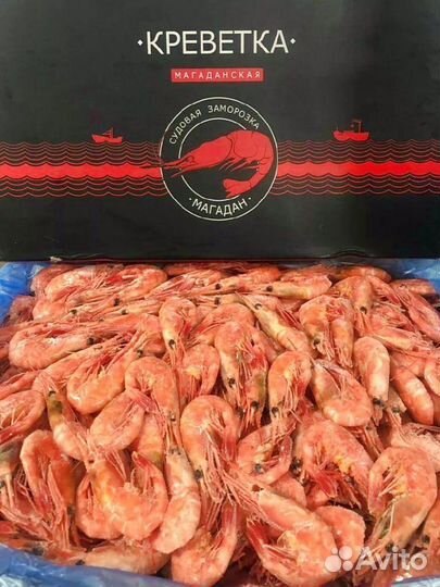 Креветка Северная