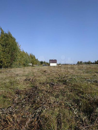 Участок 11 сот. (ИЖС)