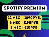 Spotify Premium 1-12 месяцев подписка