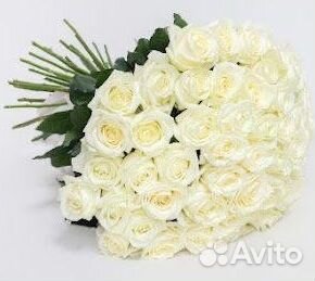 Букет из 101 белой розы