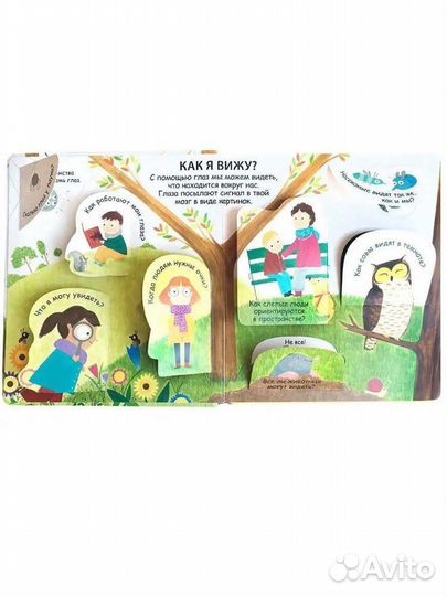 Книга с окошками