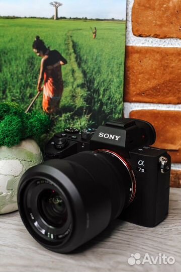 Цифровой фотоаппарат Sony Alpha A7 Mark III Body