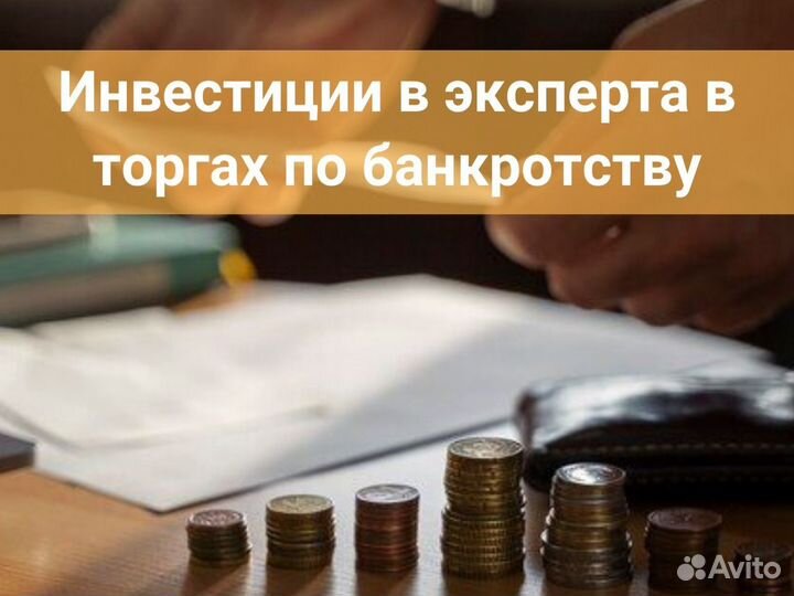 Инвестиции в эксперта в торгах по банкротству