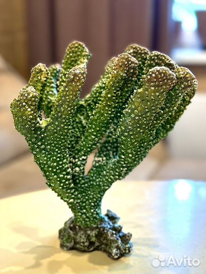 Аксессуары для аквариума