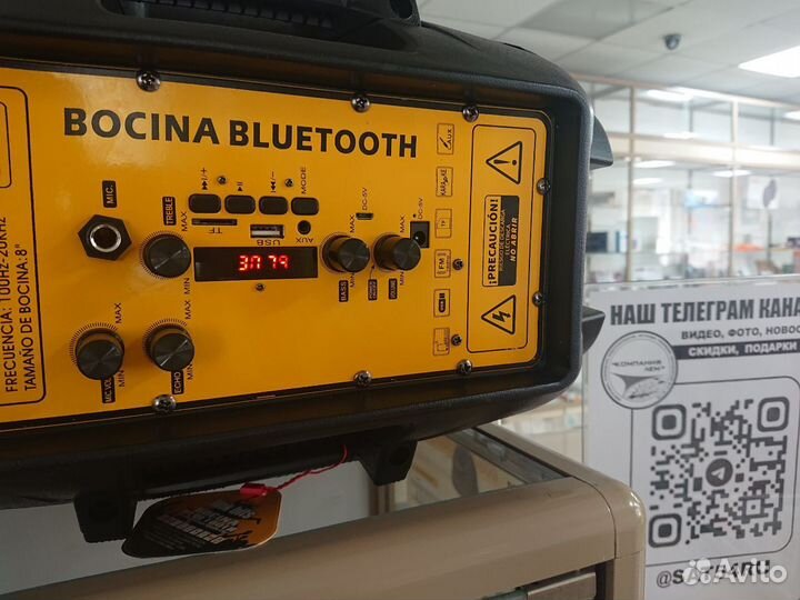 Акустическая система с Блютуз и Караоке.pmpo 5000В