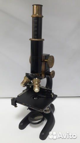 Микроскоп Bausch Lomb USA Аренда