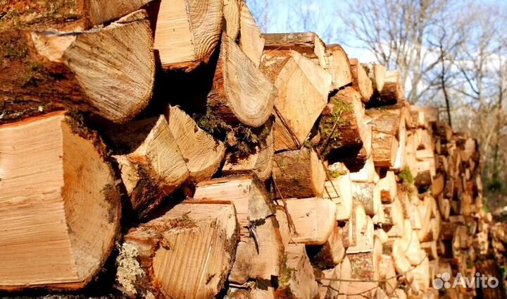 Дрова Осиновые