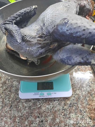 Мясо чёрных петушков