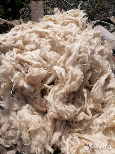 Шерсть овечья