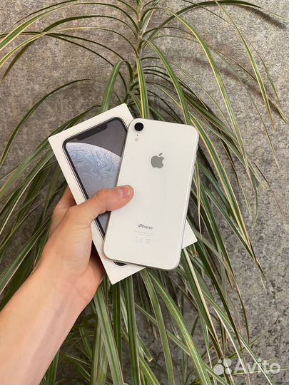 iPhone Xr, 128 ГБ