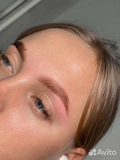 Базовый курс бровист