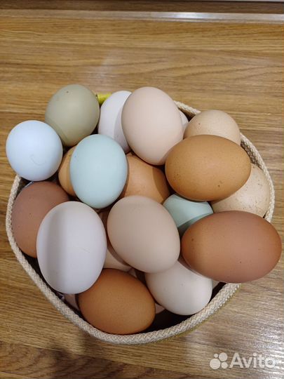 Домашние куриные яйца