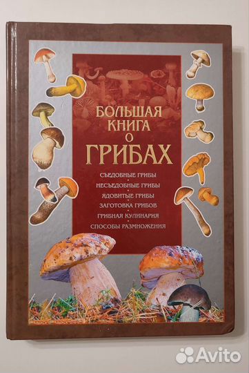 Подробный справочник о грибах