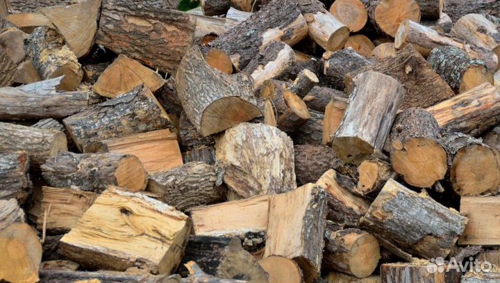 Дрова осина