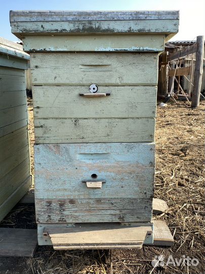 Улей для пчел бу