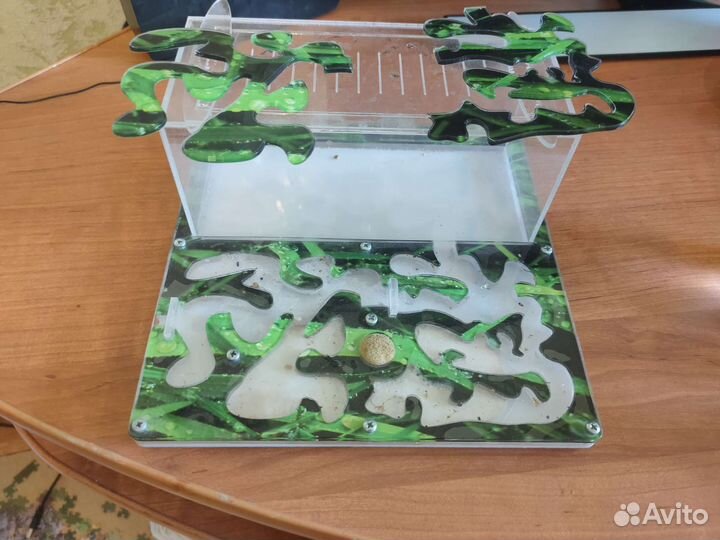 Муравьиная ферма без муравьев