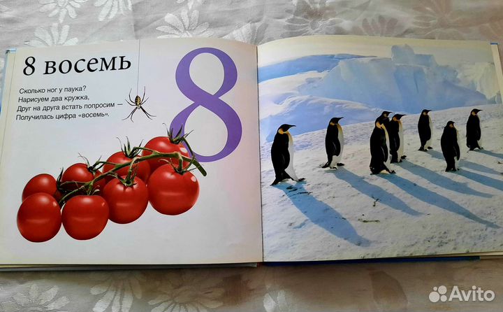 Развивающая книга