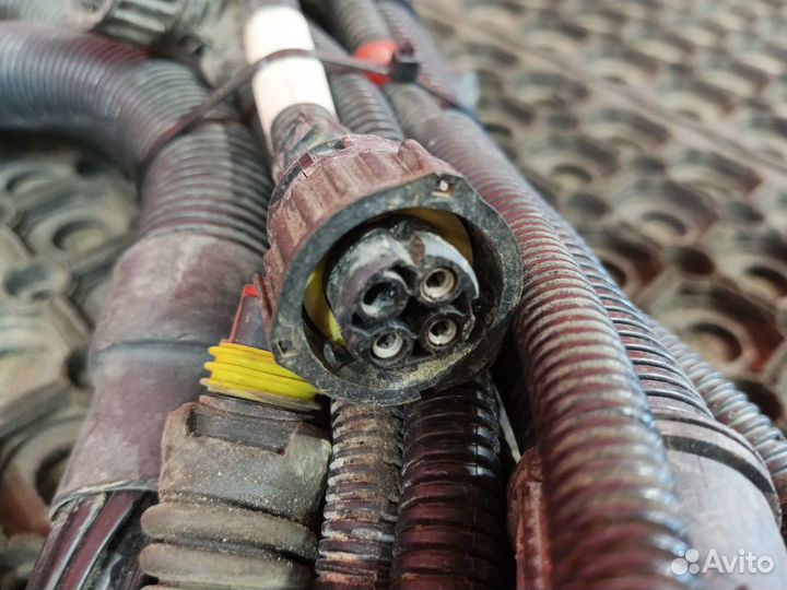 Проводка шасси основная 2020г. Daf XF105