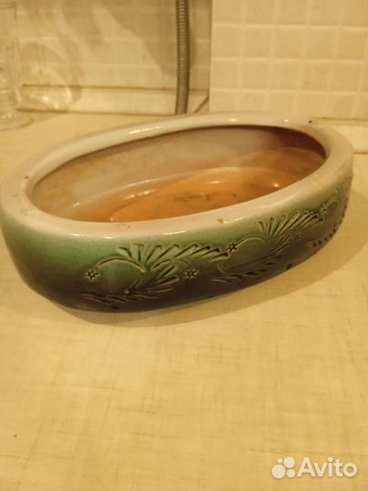 Кактусница