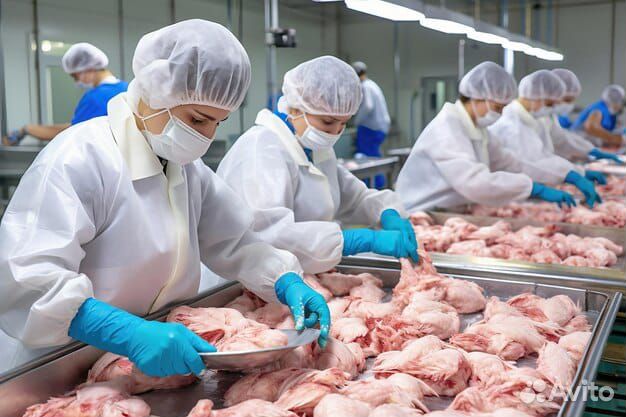 Жиловщик на птицефабрику.Вахта на выбор 15/30/45