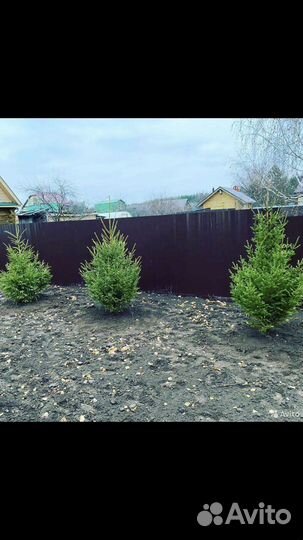 Озеленение и благоустройство