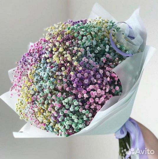 Гипсофила Радужная