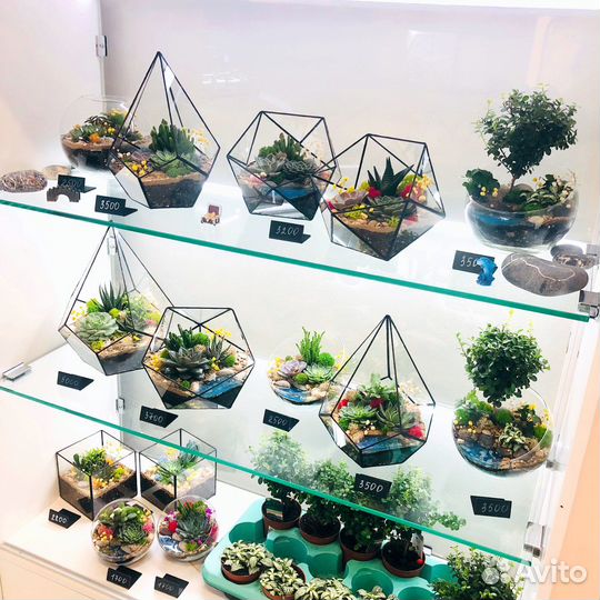 Флорариумы в наличии и на заказ