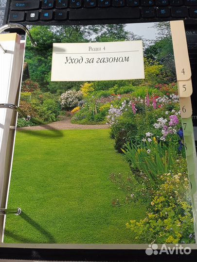 Папка сад моей мечты