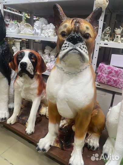 Собака Бульдог