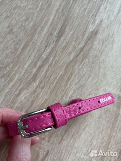 Ошейник для кошек и собак