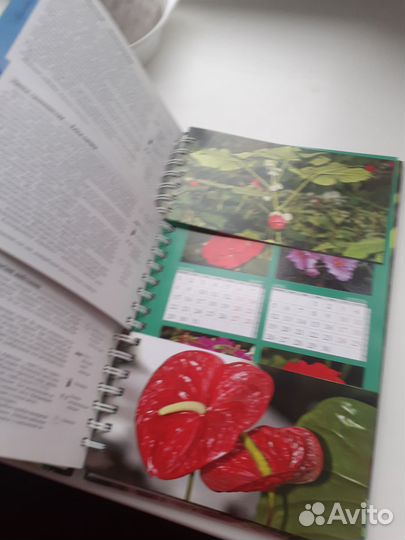 Миллион цветов для красоты вашего дома Т.Князева