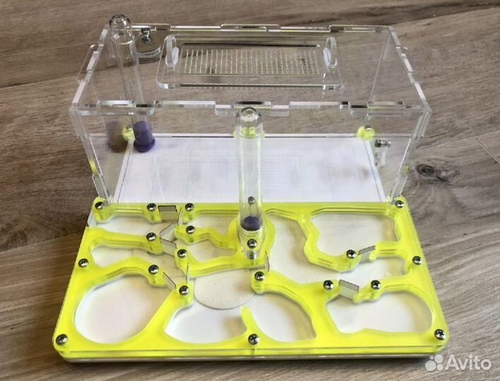 Набор муравьиная ферма (большая)