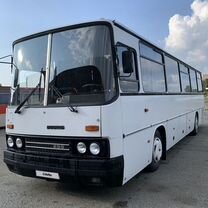 Междугородний / Пригородный автобус Ikarus 256, 2001