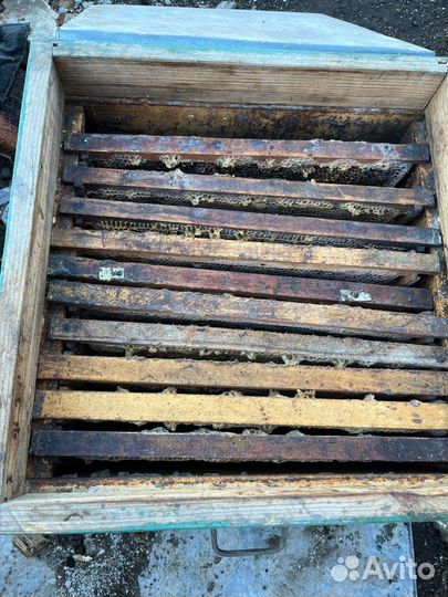 Ульи для пчел