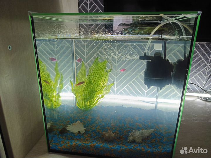 Аквариум