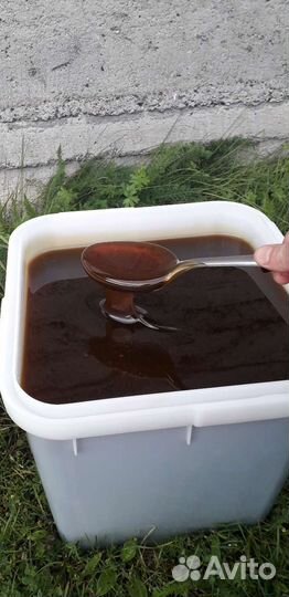 Мёд гречишный