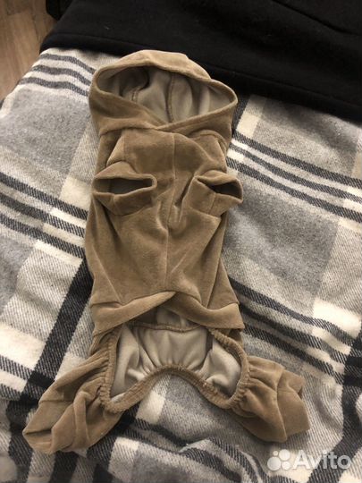 Велюровый костюм для маленькой собаки