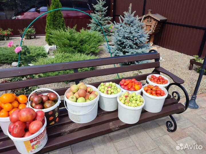 Фрукты и овощи