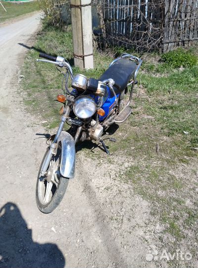 Alpha racer 110