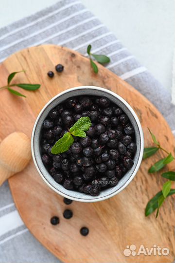 Замороженная лесная черника