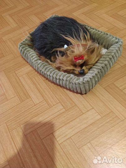 Дышащая собачка игрушка