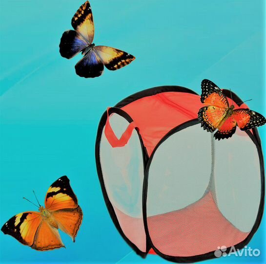 Ферма бабочек - Баттерфлярий