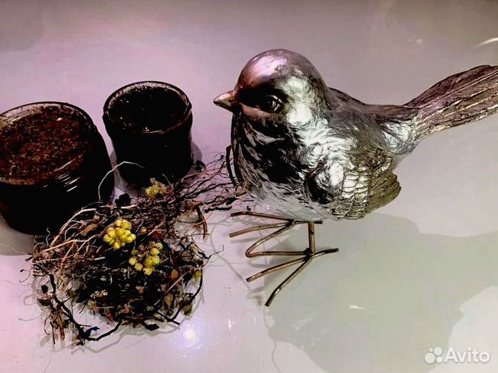 Потенцестимулятор на меду