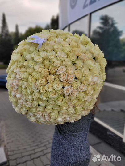 Розы 15,25,55,101,201,301