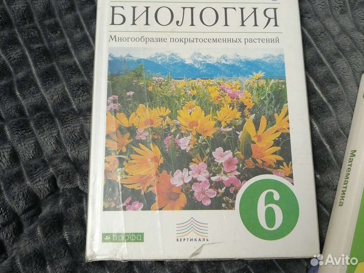Учебники 6 класс