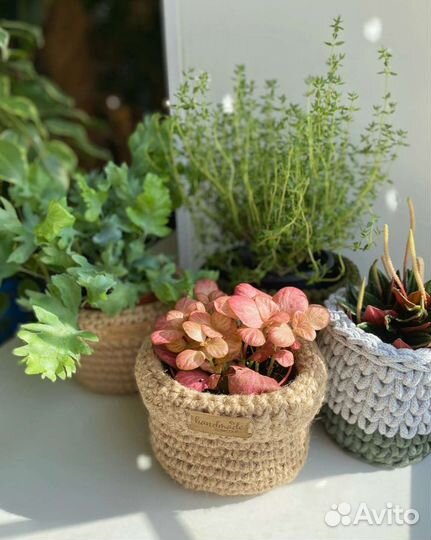 Вязаные кашпо и подвесы с кармашками