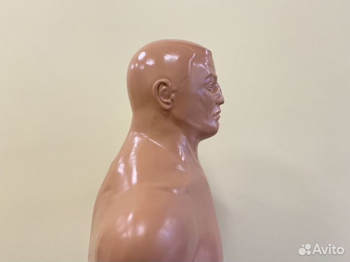 Манекен для бокса Герман