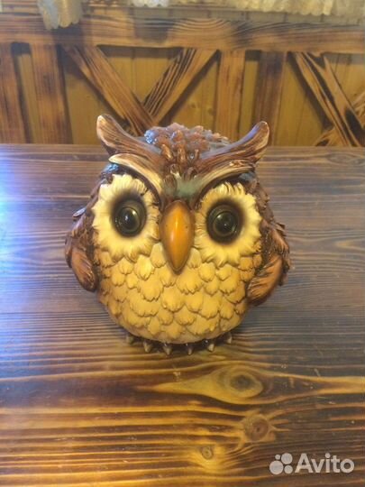 Сова садовая